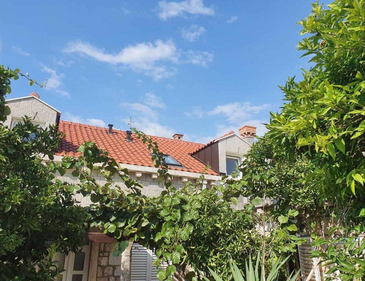 شقة Apartman Dubrovnik Karaka المظهر الخارجي الصورة